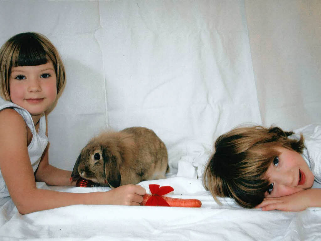 Mein Hase heit Gnseblmchen. Am liebsten mag sie Lwenzahn, aber den gibt es an Weihnachten ja nicht. Deshalb bekommt sie eine Karotte mit einer Schleife und ein Pckchen Knabberstangen. Greta (6)