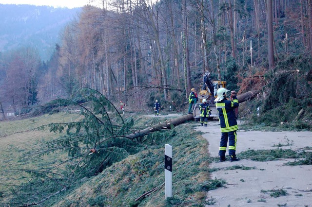 Aufrumarbeiten bei Waldkirch  | Foto: Frank Henschel