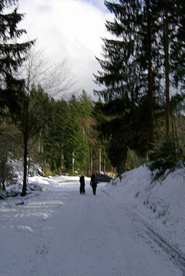 Winterwanderer  kamen auf den  verschneiten Waldwegen  auf ihre Kosten.   | Foto: kanmacher