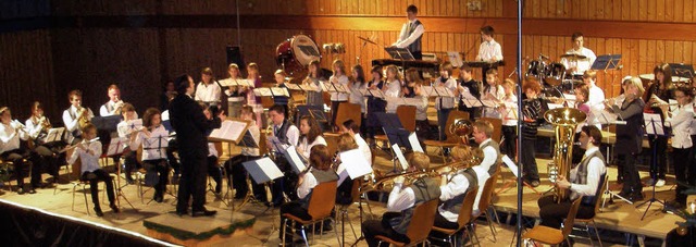 Das Jugendorchester spielt eine wichti...; im Hintergrund die 20 Fltenspieler.  | Foto: Karlernst Lauffer