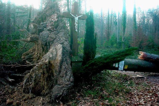 Sturm beschdigt die Vogtskreuzhtte