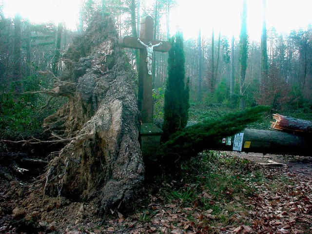 Wie durch ein Wunder blieb das &#8222;Vogtskreuz&#8220; stehen.  | Foto: Merz