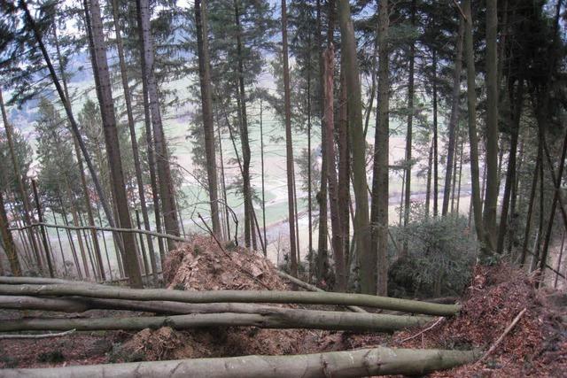 Schden im Wald sind teils erheblich