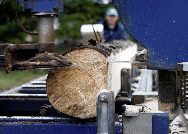 Die abflachende Konjunktur macht den H...der Waldbauern durchaus optimistisch.   | Foto: ddp
