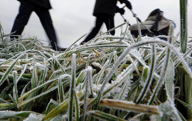 Viele frostige Tage gab es im Dezember... Raureif legte sich ber die Wiesen.    | Foto: ddp