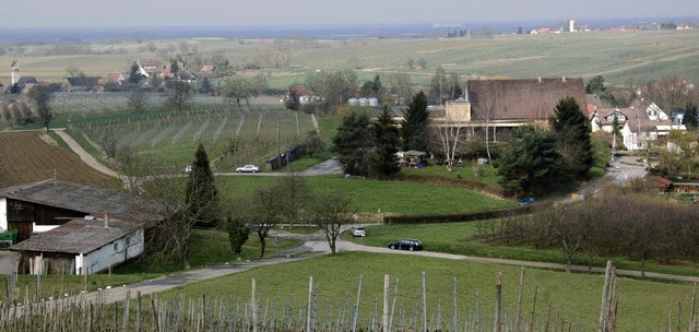 Am geplanten Gewerbegebiet Dorematt  s...on  Laufen scheiden sich die Geister.   | Foto: volker mnch