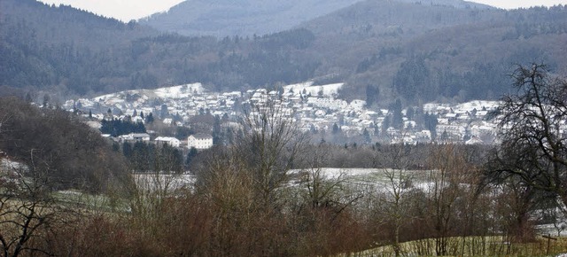 Kauf und Verkauf von Waldstcken solle...enen, dass der Wald  abgerundet wird.   | Foto: Langelott