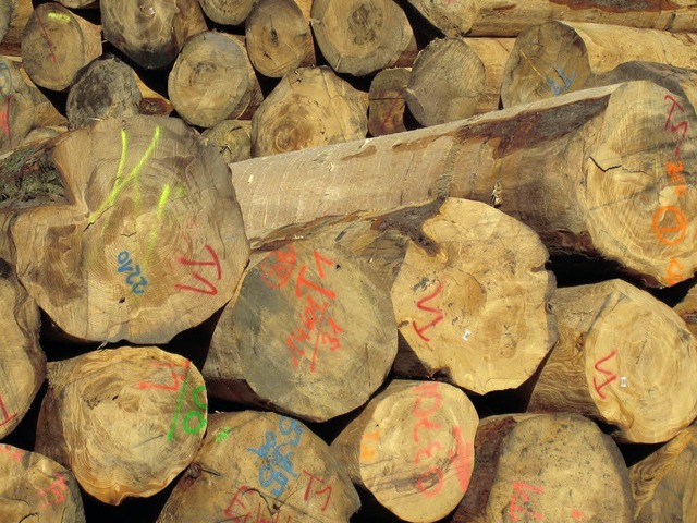 Hauptabnehmer der  Waldbauern in der O...t der Markt  vllig zusammengebrochen.  | Foto: Helmut Seller