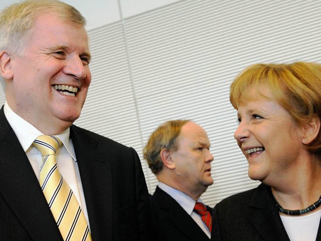 Horst Seehofer konnte sich mit seiner ...tionspartner SPD lehnt dies weiter ab.  | Foto: ddp