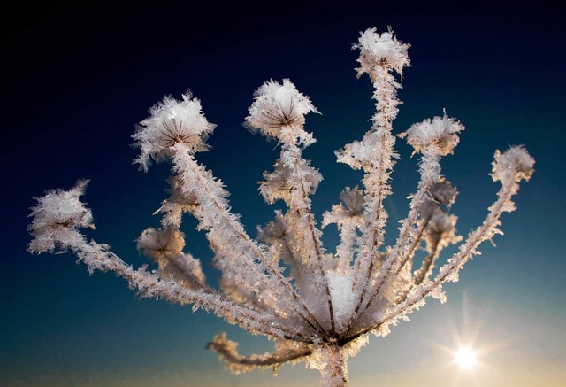 Die pittoresken Seiten des Winters.  | Foto: dpa