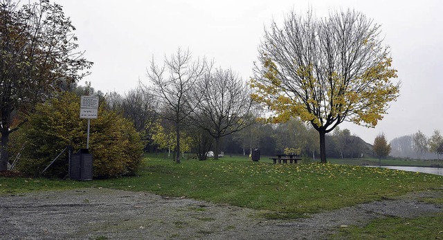 Zwischen Badesee und Tennisheim soll das Rheinauenzentrum entstehen.  | Foto: bernhard rein