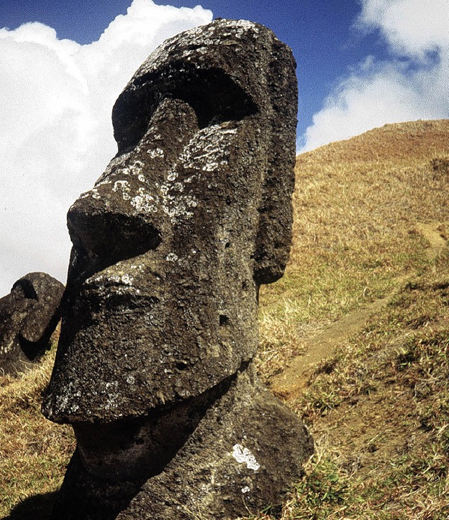 Bis zu 20 Meter hoch sind die Moais, d...co zum Weltkulturerbe erklrt wurden.   | Foto: dpa
