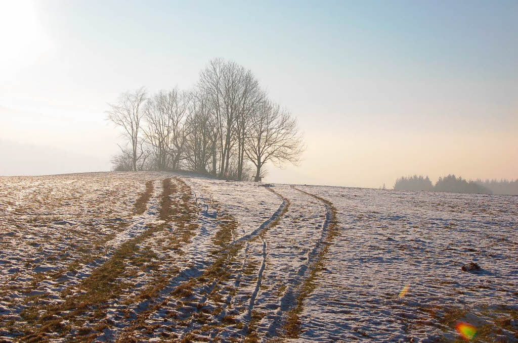 Winter in Oberbiederbach