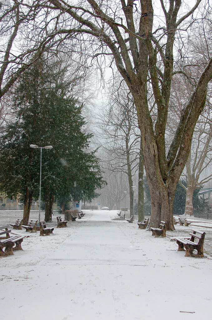 Vertrumte Schlettstadtallee in Waldkirch.