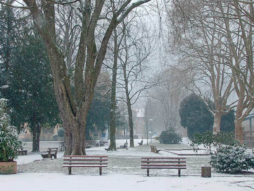 Winter im Park an der Schlettstadtallee.