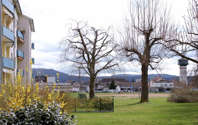 Grendelmatt III wird wohl ein Fall fr...ressen nicht unter einen Hut bringen.   | Foto: Archiv