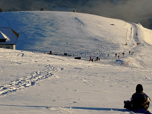 Ab ins Tal: Schlittenfahrer am Belchen...nheimische genieen sie gleichermaen.  | Foto: Angelika Schmidt