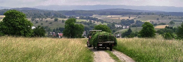 Urlaub in Rheinfelden und auf dem Dink...und eine Imageboschre sind geplant.    | Foto: BZ-Archiv