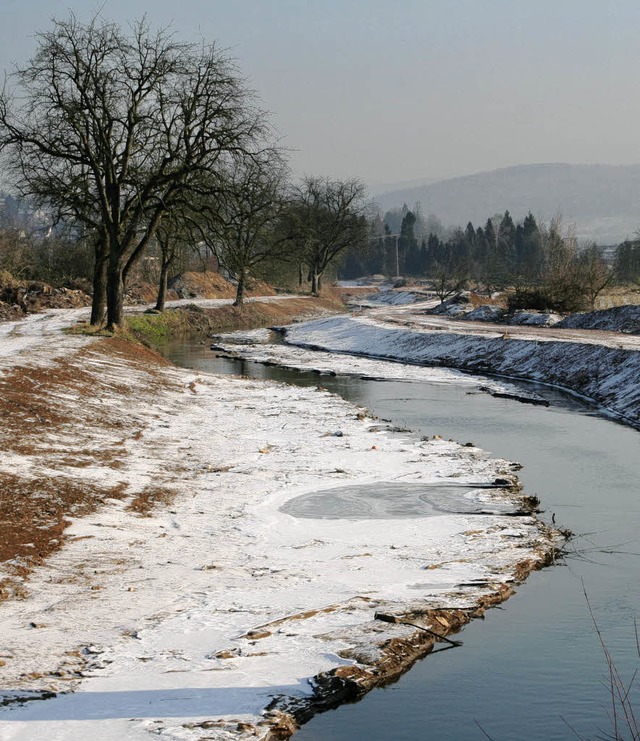 Bald Tummelplatz fr allerlei Pflnzch...n Ufer des Ettenbachs am Ortsausgang.   | Foto: erika sieberts