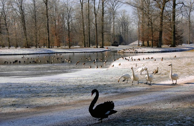   | Foto: Manfred Frietsch