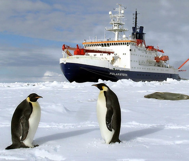 Die &#8222;Polarstern&#8220; in freund...r-Station in der Antarktis versorgen.   | Foto: AWI