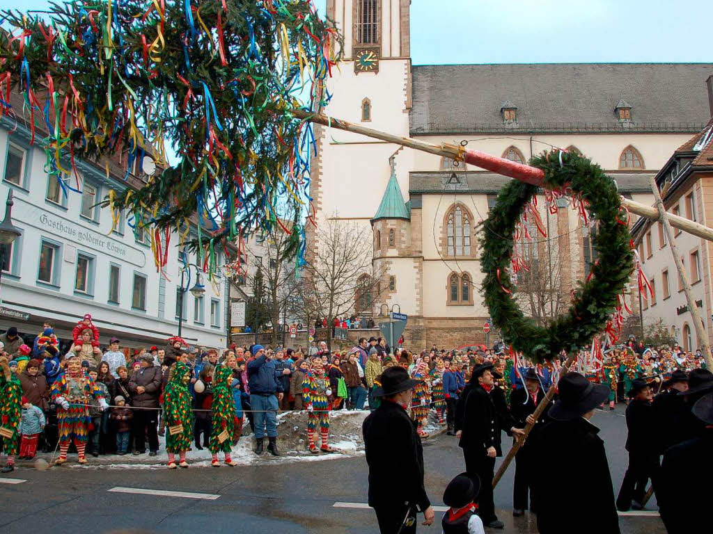 29,8 Meter hoch und 700 Kilogramm schwer ist der Narrenbaum, den die Lenzkircher Zimmermnner fr die Neustdter Ggs aufstellen.