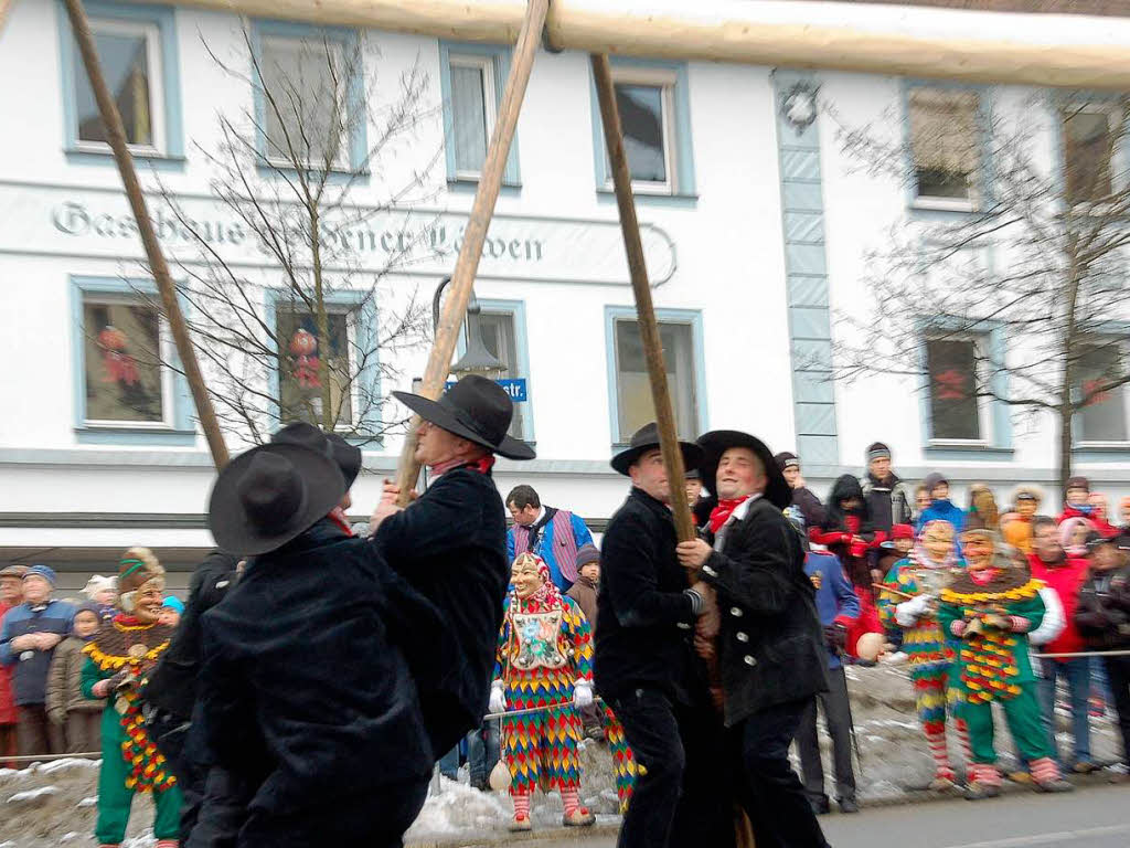 Lenzkircher Zimmermnner stellen den Jubilumsnarrenbaum in Neustadt.