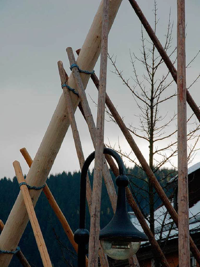 Stangenwald: Viele solcher Stangen sind notwendig, um den 29,8 Meter langen Narrenbaum sicher aufzustellen.