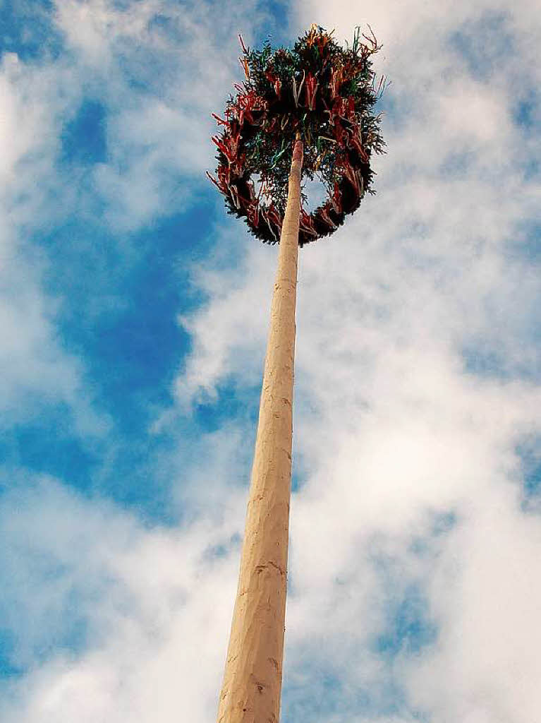 Der 29,8 Meter lange und 700 Kilogramm schwere Narrenbaum steht.
