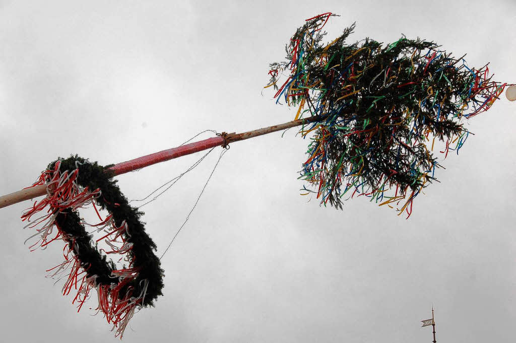 Einen Durchmesser von rund 1,50 Meter hat der Kranz des Baumes. Geflochten wurde er aus ausgedienten Weihnachtsbumen.