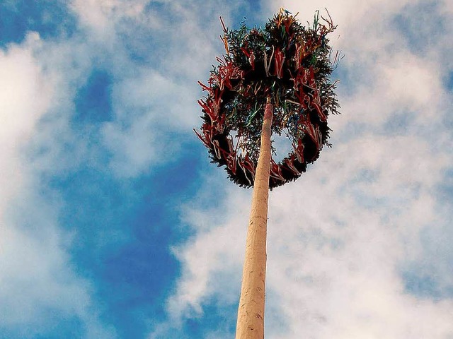 29,8 Meter ist der Jubilums-Narrenbaum lang.  | Foto: Sebastian Barthmes