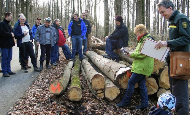 Holzversteigerung  | Foto: Jutta Schtz