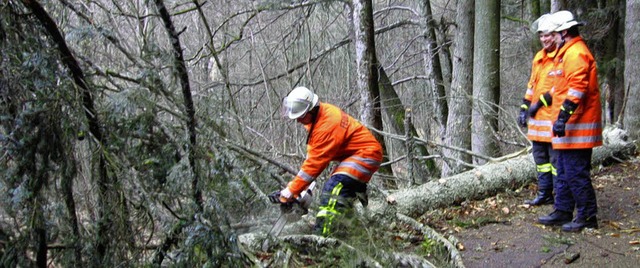 Wie  hier Anfang Mrz oberhalb von Wic...tzen nach heftigen Strmen ausrcken.   | Foto: Archivfoto: Feuerwehr rickenbach