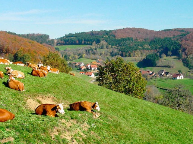 Eine offene Landschaft mit Weidevieh p...emeinde wird  dies wie bisher frdern.  | Foto: Sonja Eiche