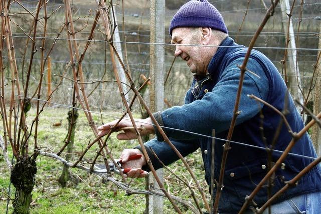 Bilder des Tages: Hochbetrieb