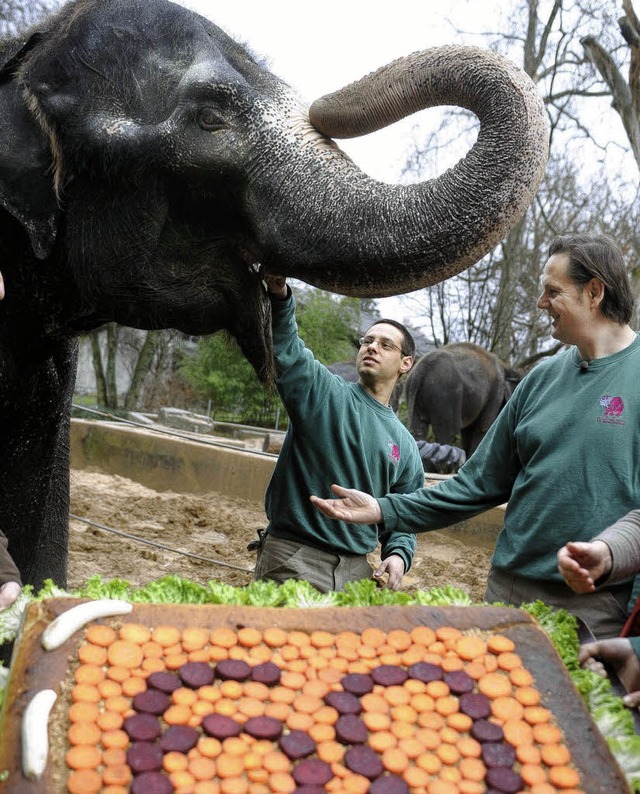 Elefantendame Vilja probierte   schon gestern von ihrer Geburtstagstorte.   | Foto: dpa