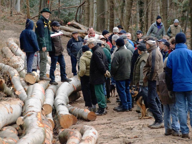 Zu guten Preisen wurden am Samstag 588...olz im Britzinger Wald versteigert.     | Foto: Volker  Mnch