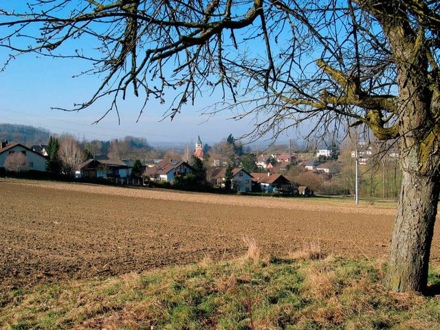 Blick  auf das   knftige Baugebiet Schwarzwaldblick.    | Foto: Jutta  Schtz