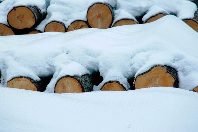 Aus dem Gemeindewald Grafenhausen kann... unzhlige Festmeter unter dem Schnee.  | Foto: Chris Seifried