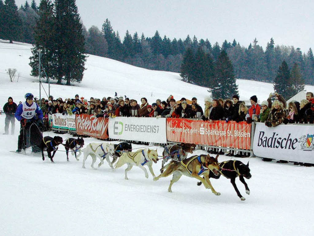 Internationales Schlittenhunderennen 2009 in Bernau.