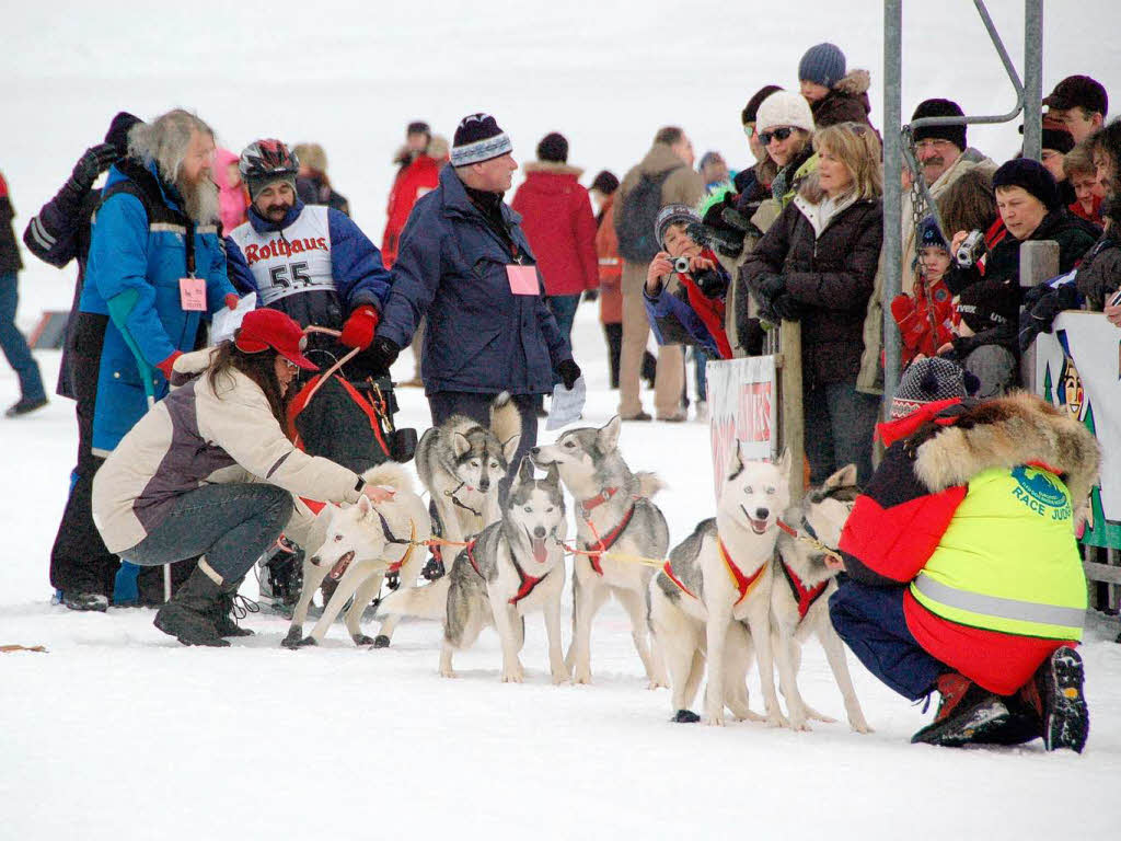 Internationales Schlittenhunderennen 2009 in Bernau.