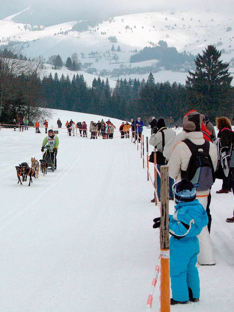 Internationales Schlittenhunderennen 2009 in Bernau.