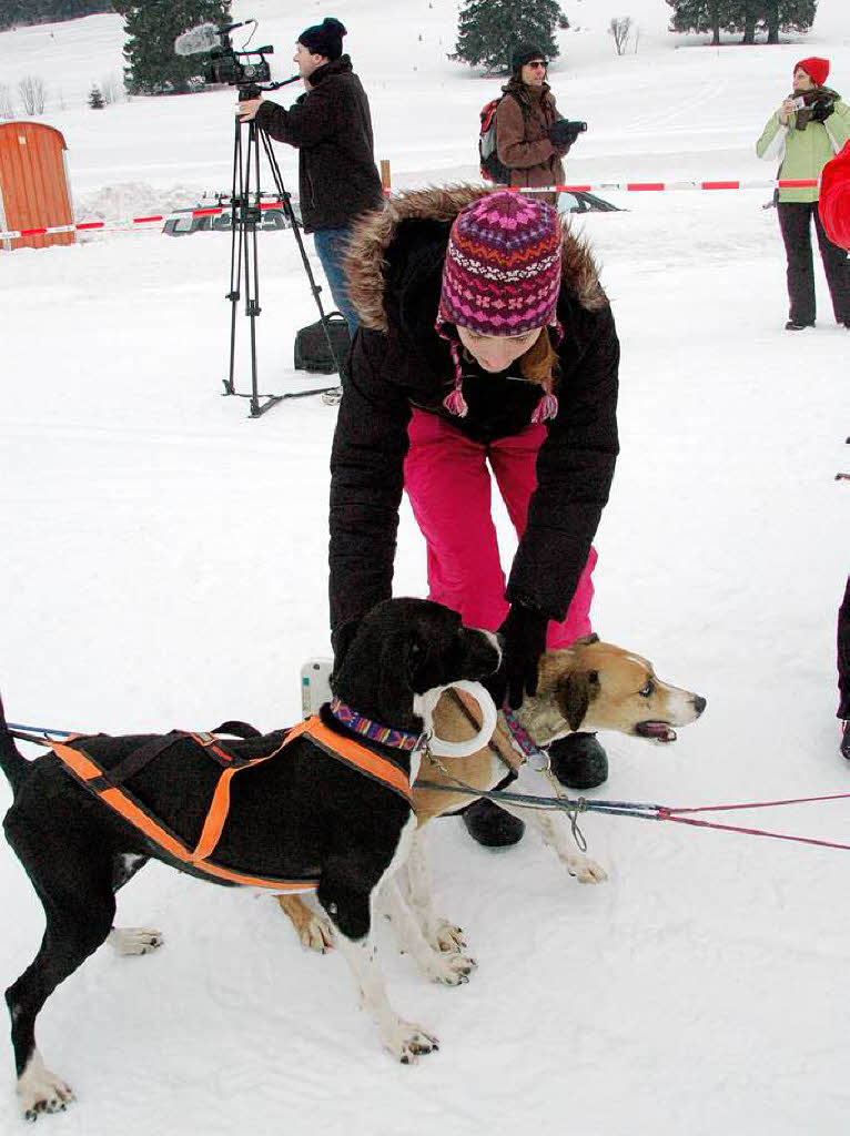 Internationales Schlittenhunderennen 2009 in Bernau.