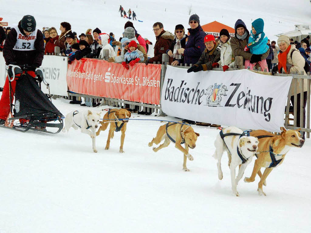 Internationales Schlittenhunderennen 2009 in Bernau.