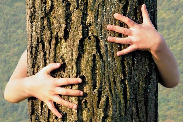 Ein Baum soll ein Leben lang stehen bleiben