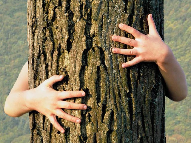 Ein Baum, der ein Leben lang Halt geben kann.  | Foto: beck