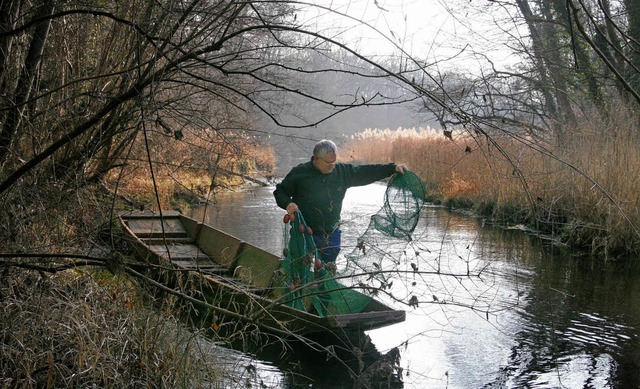 Josef Schindler mit Fischreuse im Naturschutzgebiet Taubergieen.   | Foto: Eberhard Kopp