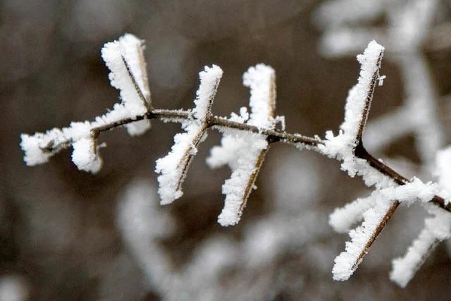 Frostiger Januar mit viel Sonne