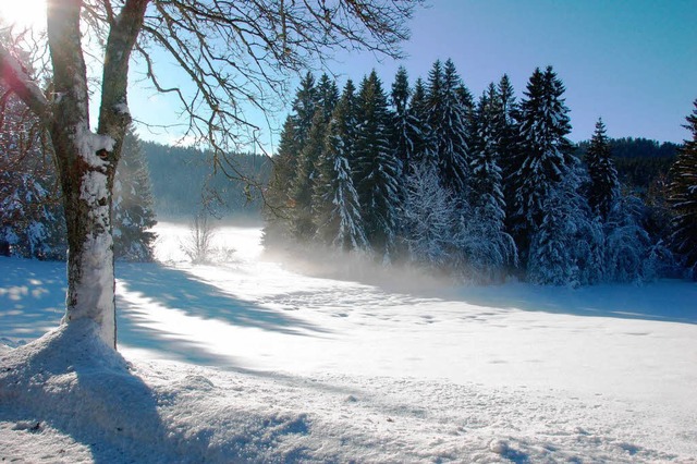 Winter im Hochschwarzwald  | Foto: peter stellmach