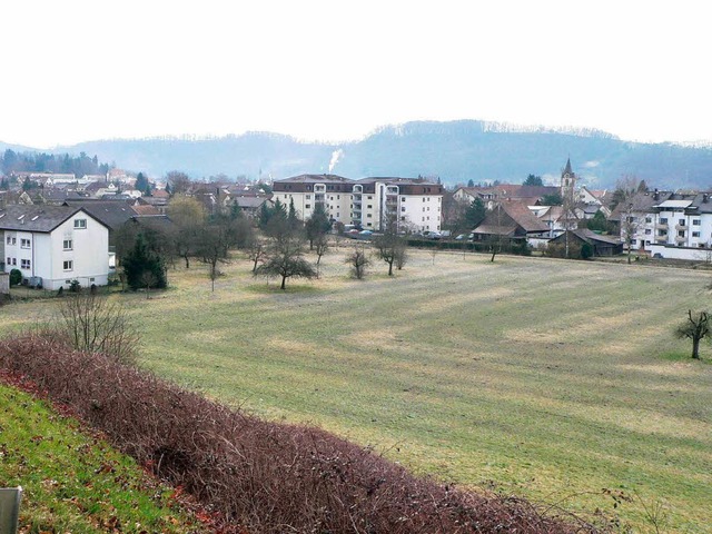 Nach Norden in Richtung Hgelberg will...nen wachsen, was auch auf Kritik stt  | Foto: Hermann Jacob